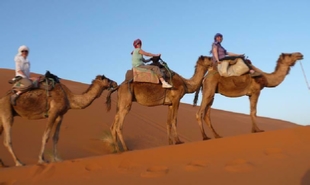 private 8 days Casablanca tour to explore Imperial cities,7,8,9 days tour from Casablanca to desert private 8 days Casablanca tour to explore Imperial cities,7,8,9 days tour from Casablanca to desert