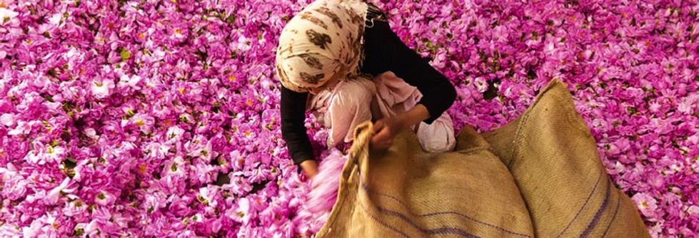 5 days private Moroccco desert tour from Marrakech,4x4 Marrakech tour to Erg Chebbi in 5 days 5 days private Moroccco desert tour from Marrakech,4x4 Marrakech tour to Erg Chebbi in 5 days