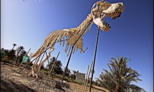 private 2 days tour from Fes to Merzouga desert,adventure 2 days Fes to desert camp travel