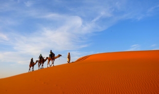 5 days New year's Eve tour from Marrakech to desert,private Marrakech 4,5,6 days New Year travel in Morocco 5 days New year's Eve tour from Marrakech to desert,private Marrakech 4,5,6 days New Year travel in Morocco