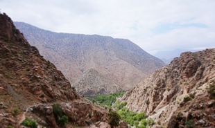 private day trip from Marrakech to Ourika valley,Marrakech full-day excursion to Atlas mountains private day trip from Marrakech to Ourika valley,Marrakech full-day excursion to Atlas mountains
