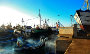 private day trip from Marrakech to Essaouira,full-day excursion from MArrakech to Essaouira on Atlantic coast private day trip from Marrakech to Essaouira,full-day excursion from MArrakech to Essaouira on Atlantic coast